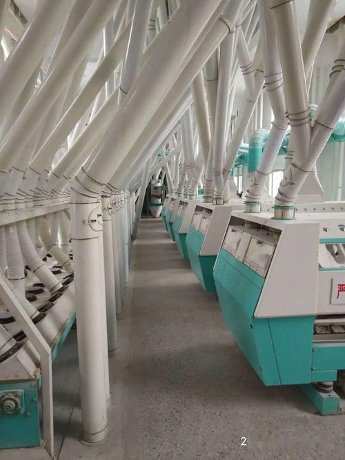 梁山縣新豐面粉廠 品質為基，誠招全國經銷商與國內貿易代理